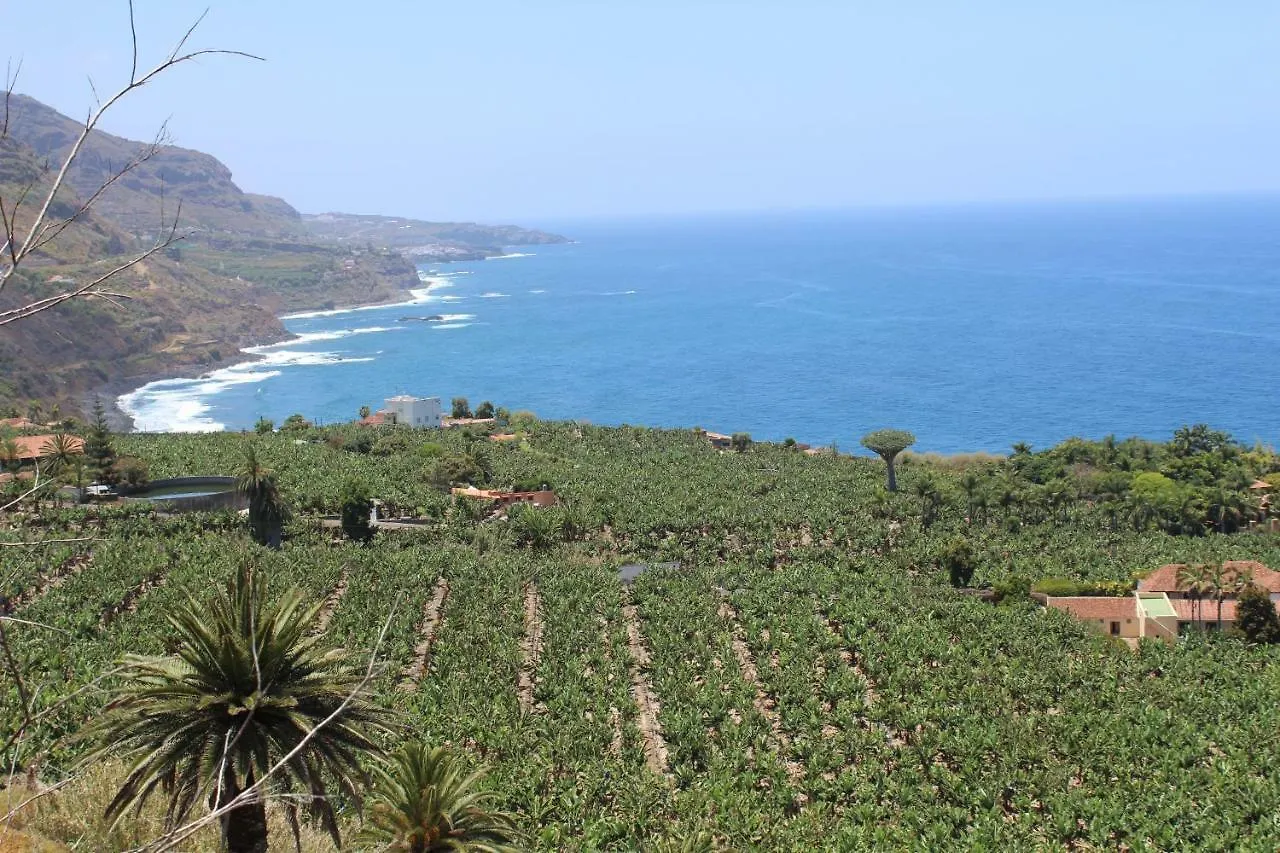 Holidaynorthtenerife Exotic Apartament Los Realejos Apartamento