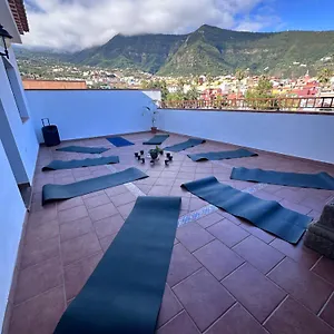 Canary Bio Tenerife Affittacamere